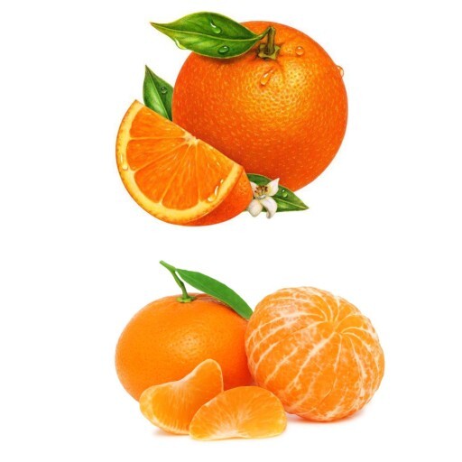 Mandalina mı portakal mı?