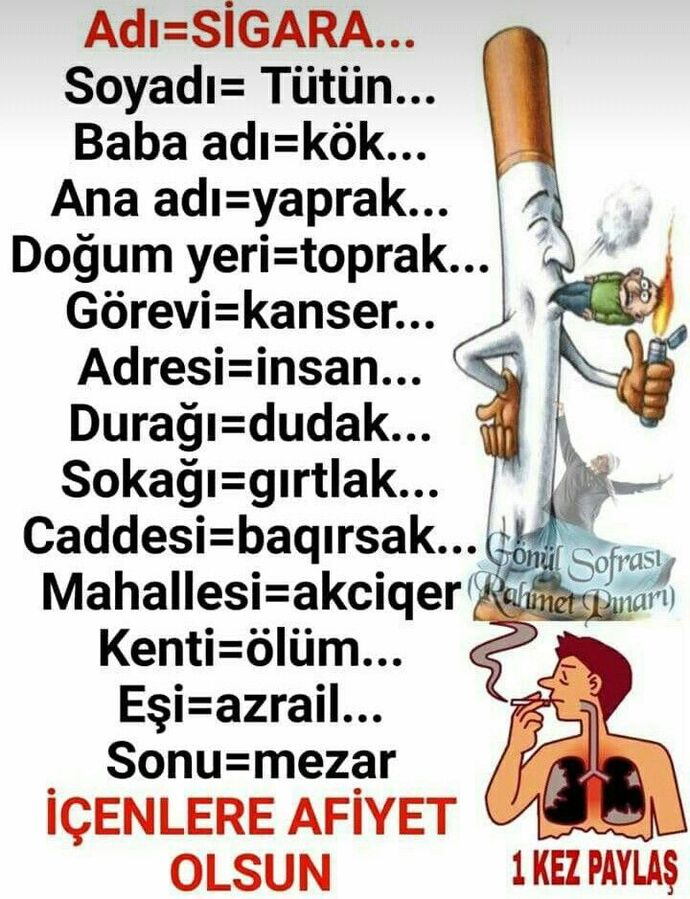 Evde sigara içiyor musunuz veya sigara içilmesine izin veriyor musunuz?