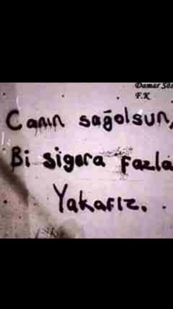Evde sigara içiyor musunuz veya sigara içilmesine izin veriyor musunuz?