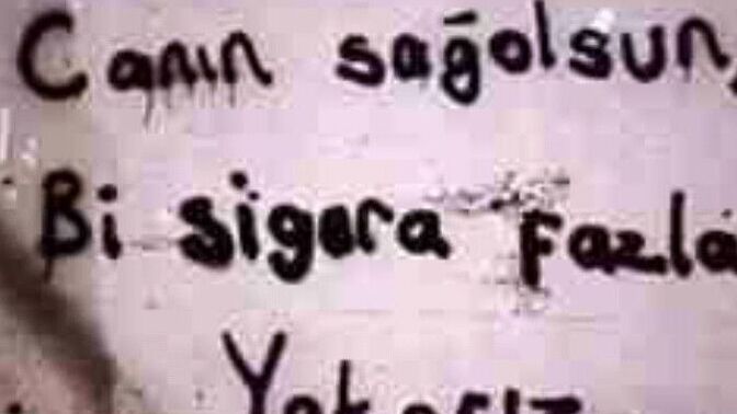 Evde sigara içiyor musunuz veya sigara içilmesine izin veriyor musunuz?