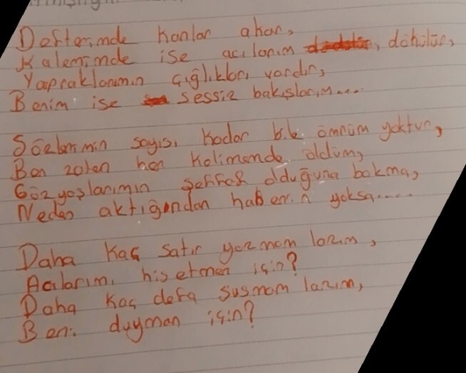 Şiirleriniz var mı?