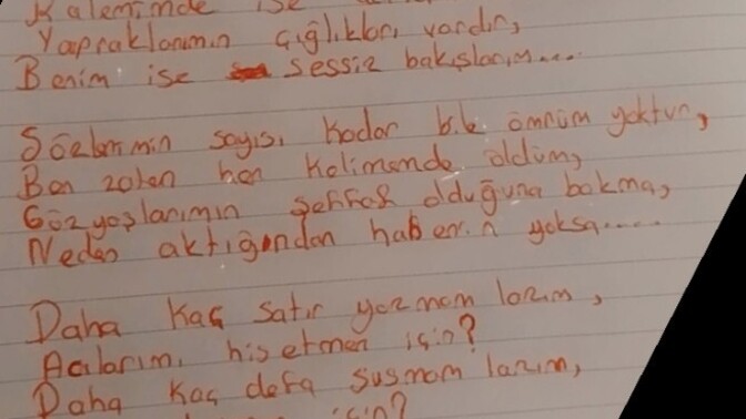 Şiirleriniz var mı?