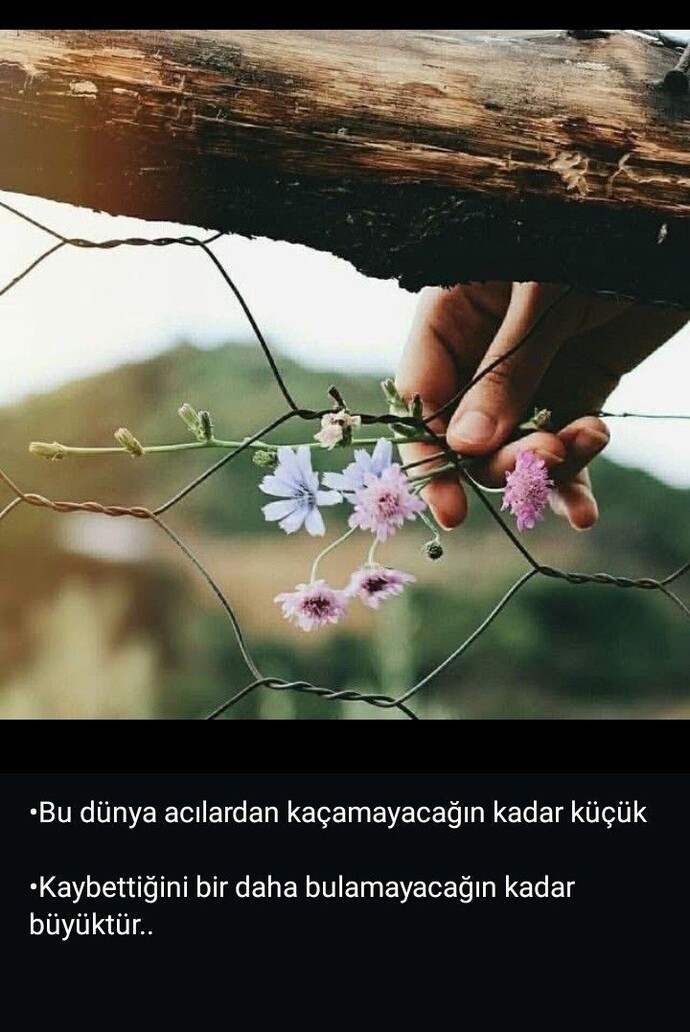 Özlemek susmaktır dersin susarsın... Ne olursa olsun İnsan veda etmeli mi yoksa bazen yarım mı kalmalı vedalar?