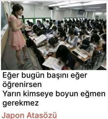 Öğrenmenin önemi nedir?