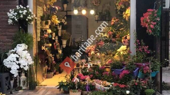 Modanın adını değiştirme şansın olsa ne isim koyardın, neden 🌸?