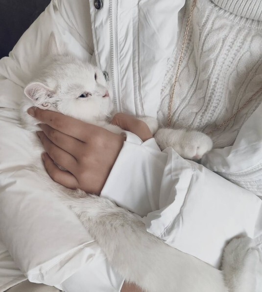 Kedi sever kadınlar tatlı mı yoksa yalnız mı?