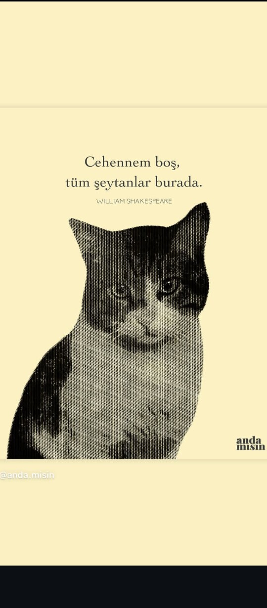 Kedi sever kadınlar tatlı mı yoksa yalnız mı?
