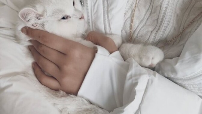 Kedi sever kadınlar tatlı mı yoksa yalnız mı?