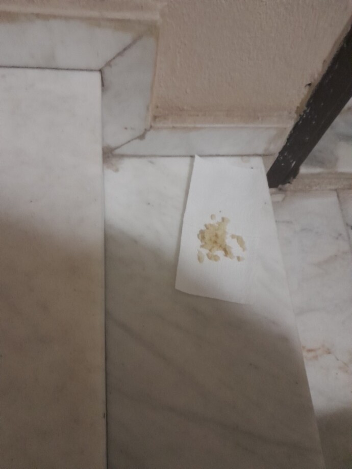 Apartmanin icinde kapinin onune ekmek kirintisi birakmak ne demek oluyor bilen var mi?