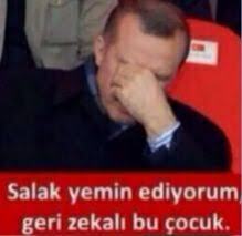 Gördüğünüz her kediyi 🐈 sevme gibi huyunuz 🫠 var mı?