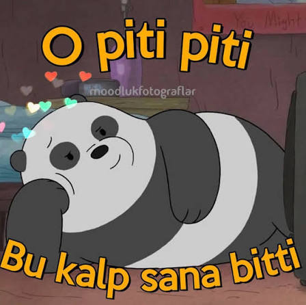 Gördüğünüz her kediyi 🐈 sevme gibi huyunuz 🫠 var mı?