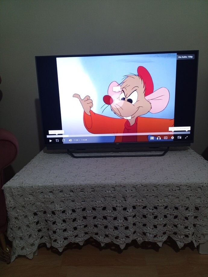 Bir erkek sevgilisi ile animasyon filmi izler mi?