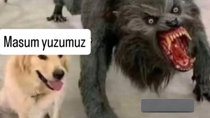 Masum bir insan mısınız?