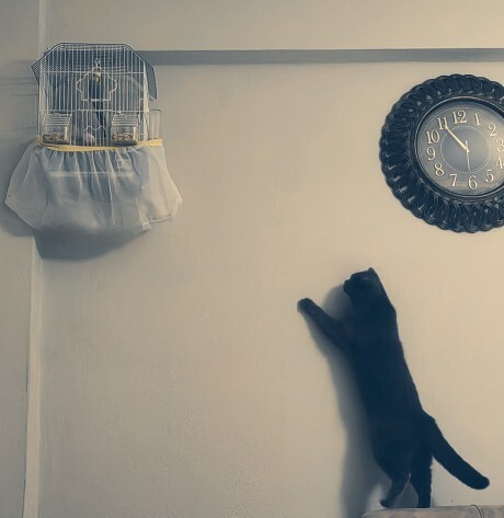 Sonumuz ne olur?
