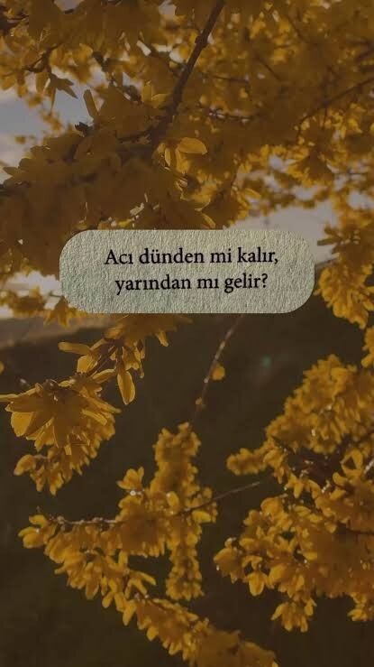 Geçmişin acısı geçer mi?