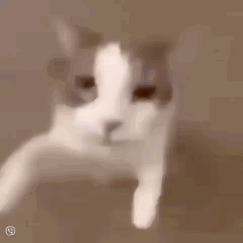 Hep böyle geç mi yatarsınızz?