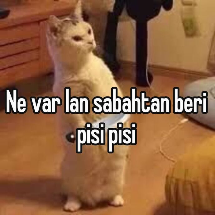 Size bir şarkı soyleyim mii?