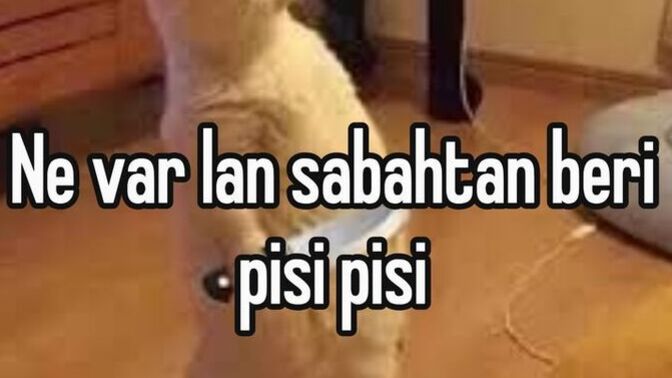 Size bir şarkı soyleyim mii?
