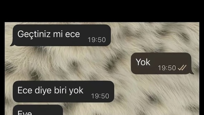 Erkekler bu şekilde eğitilebilir mi sizce , kızlar siz bir erkeği eğitmek için uğraş verir misiniz?