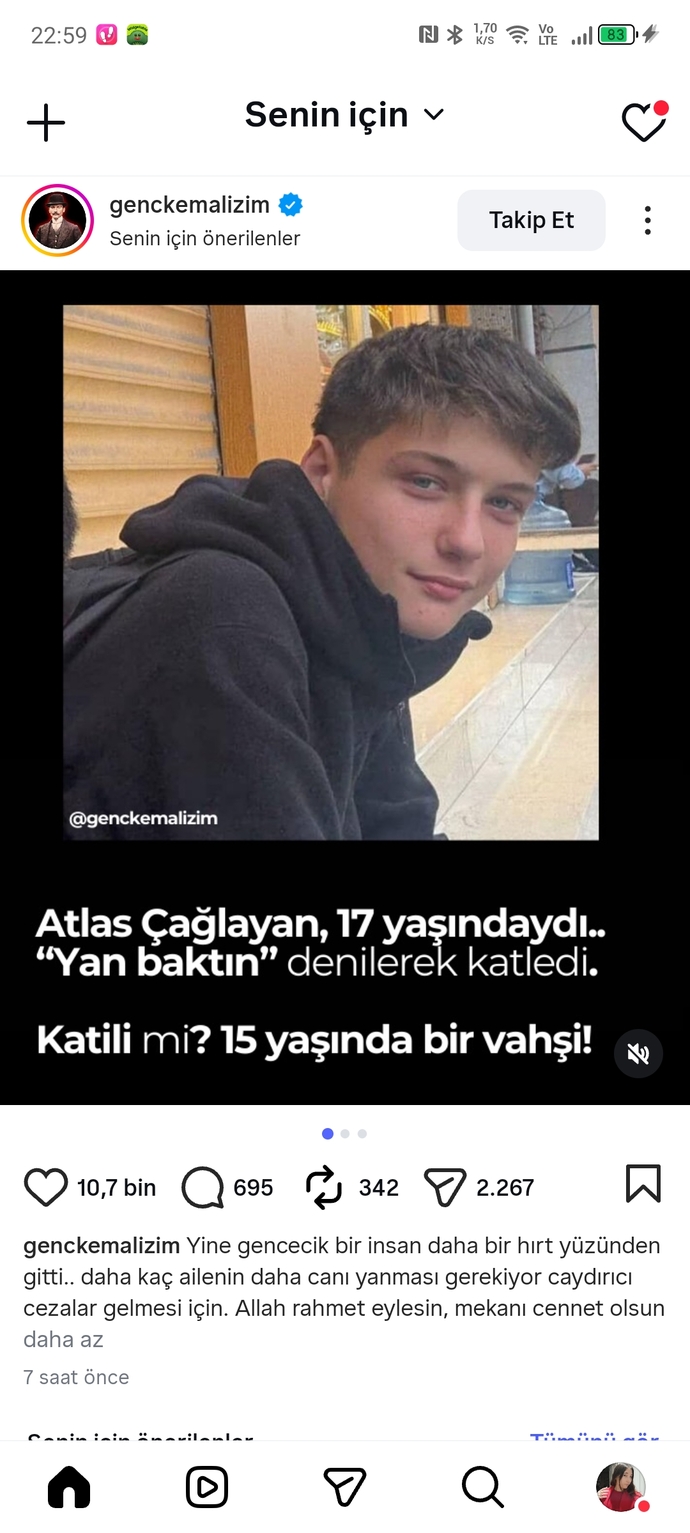 Güzel mi köpeksiz sokaklar?