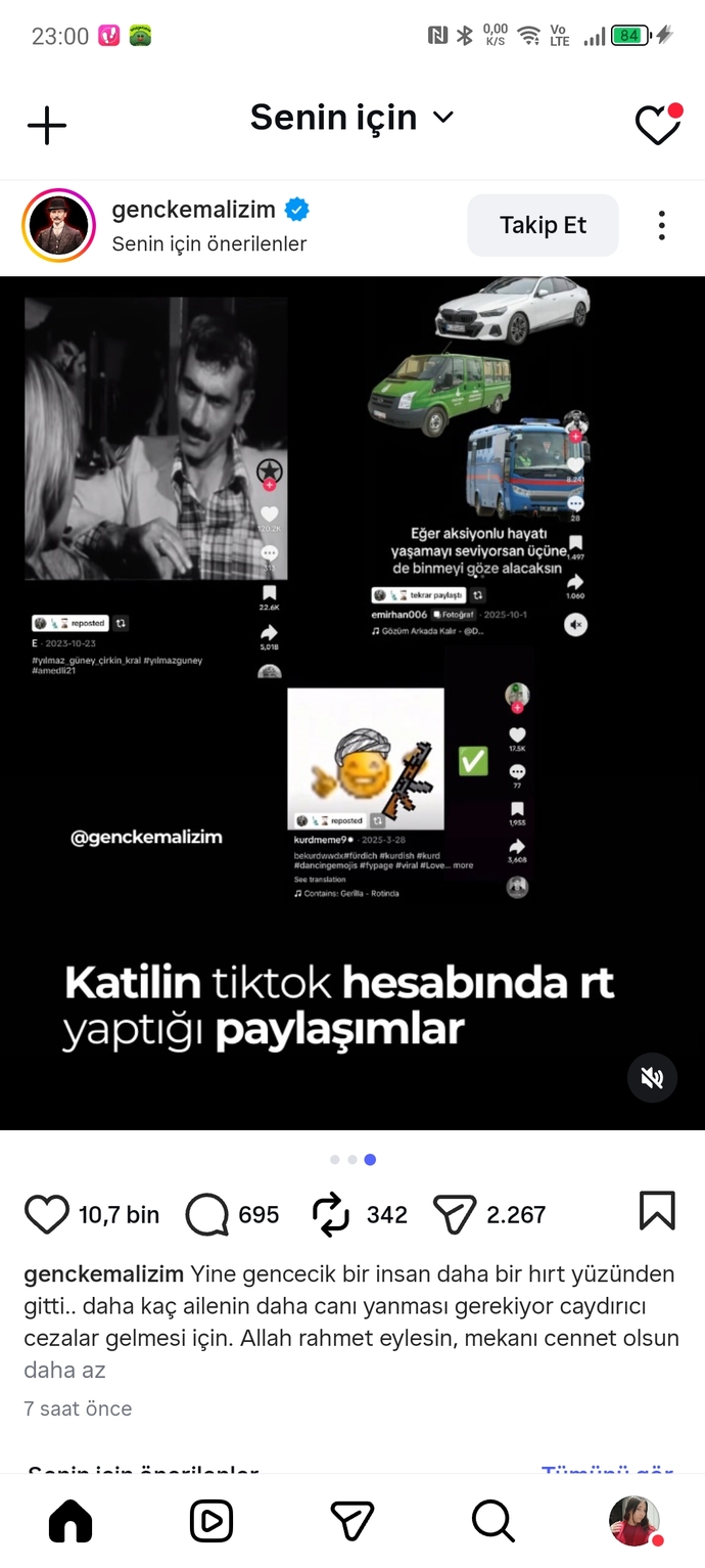 Güzel mi köpeksiz sokaklar?
