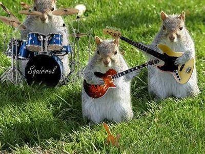 Bir müzik grubu kursaydınız adı ne olurdu?