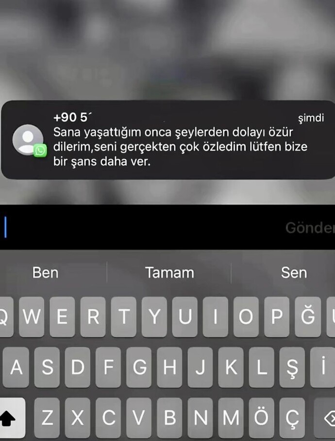 Eski sevgilinizden böyle bir mesaj gelse ne yapardınız? Affeder miydiniz?