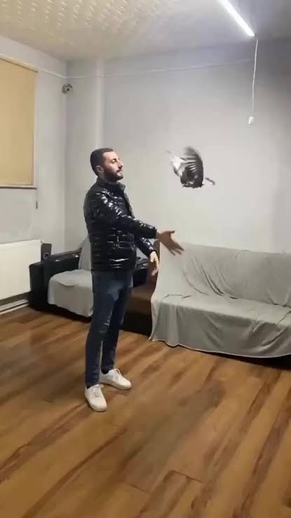 Sizin mizah seviyeniz yüksek mi?