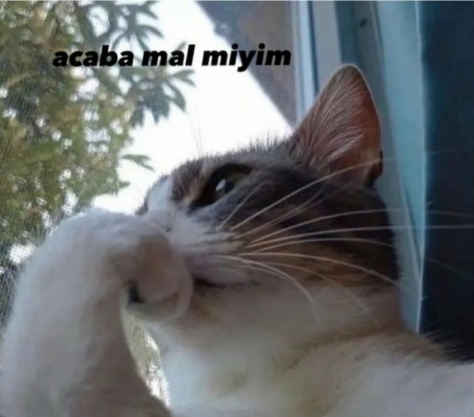 Gün içinde kendinizi sorguluyor musunuz💬 ?