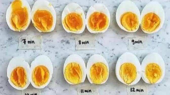 Yumurtayı nasıl seversiniz, sahanda mı menemen mi omlet mi 🥚?