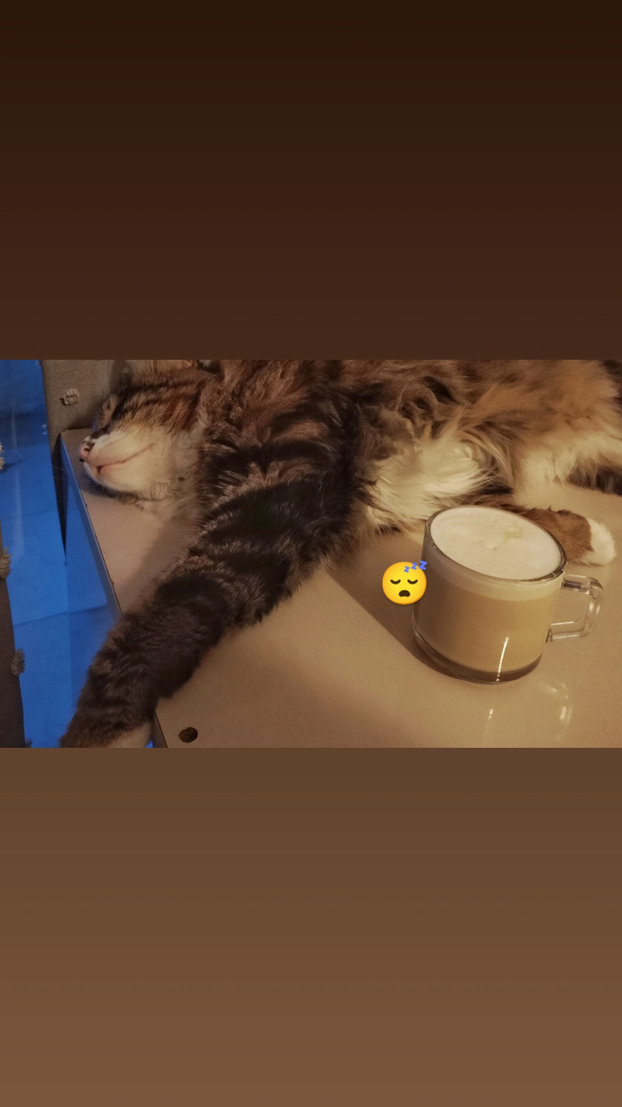 Pazar sabahı neden erken uyandınız ya da neden uyumadınız?