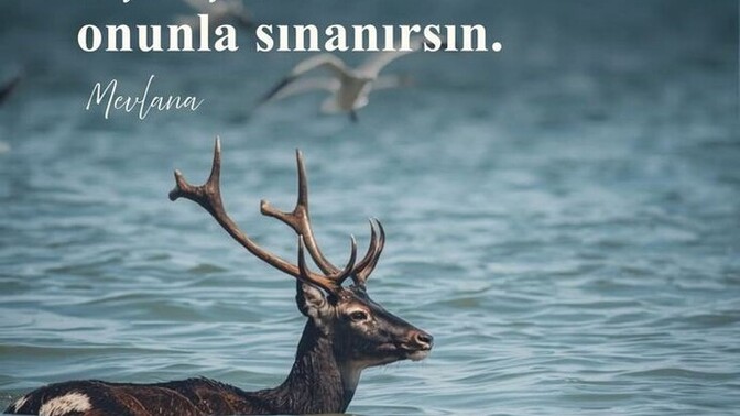 Kıyamadığınız biri var mı?