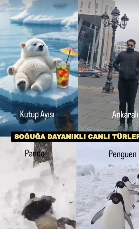 Soğuğa dayanıklı canlı türleri nelerdir?