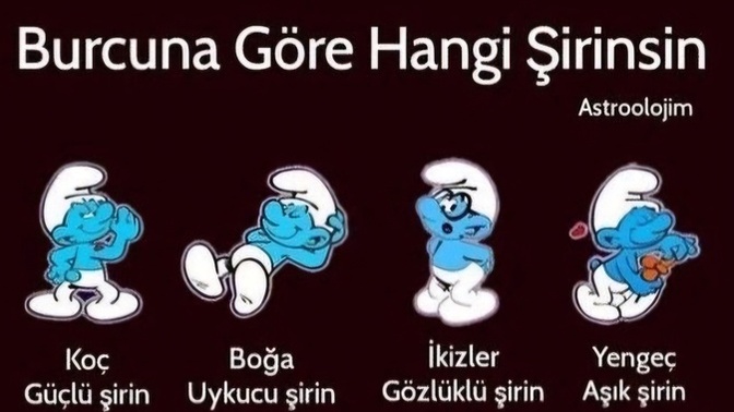 Burcuna göre hangi şirinler karakterisiniz?