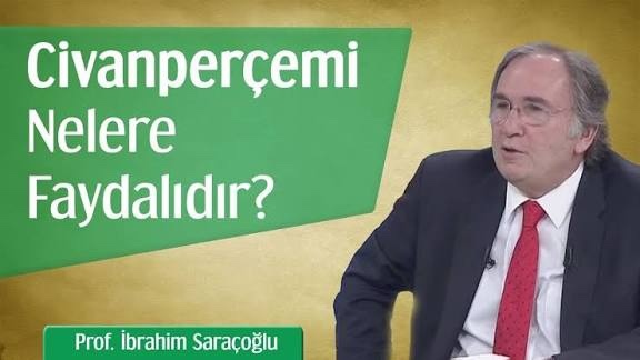 Civanperçemi veya Aslanpençesi çayı içen var mı?