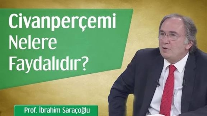Civanperçemi veya Aslanpençesi çayı içen var mı?