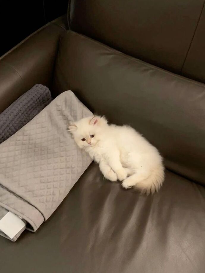 Genelde saat kaçta uyuyorsunuz, uyku düzeniniz nasıl gidiyor 💤?