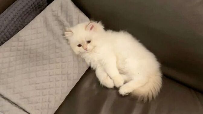 Genelde saat kaçta uyuyorsunuz, uyku düzeniniz nasıl gidiyor 💤?
