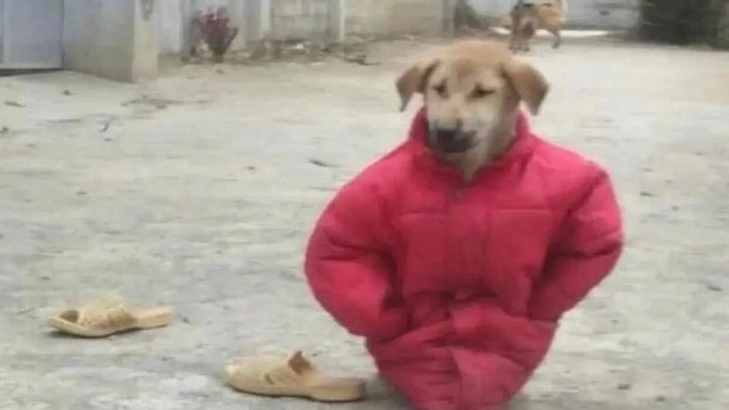 Başkalarının hayatına özenip kendi hayatını sorguladığın oluyor mu?