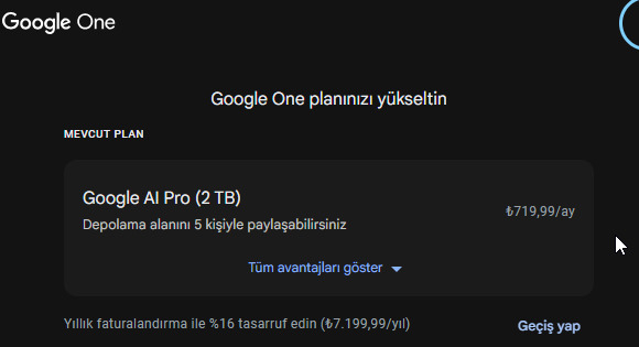 Google fotoğraflar nasıl sizce?
