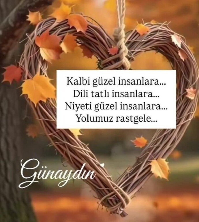 Günaydın hayırlı sabahlar, hayırlı haftalar 🥰 imkanınız olsa neye yeniden başlamak isterdiniz?