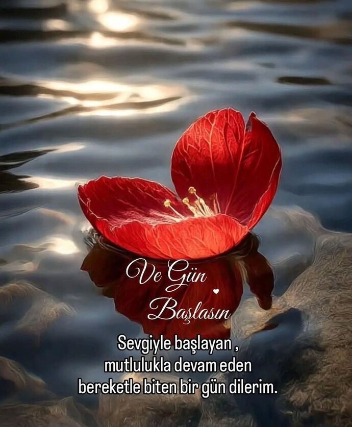 Günaydın hayırlı sabahlar, hayırlı haftalar 🥰 imkanınız olsa neye yeniden başlamak isterdiniz?