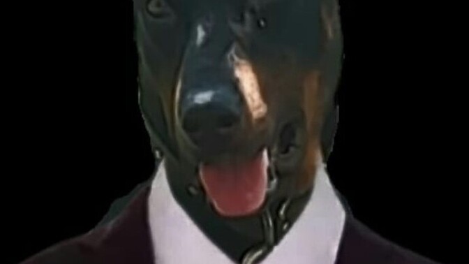 Köpeğimin karnesi için resim istediler, sizce olmuşmu?
