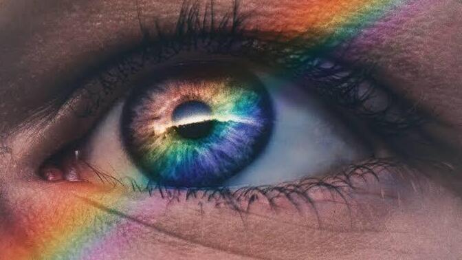 LGBT topluluğu hakkında genel düşünceniz nedir?