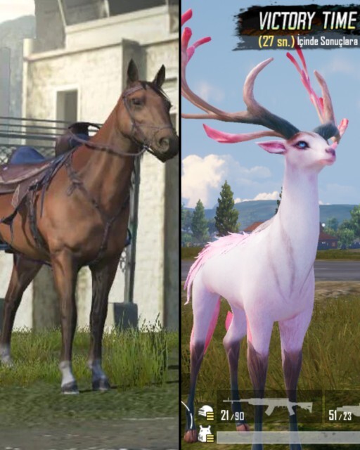 PUBG Mobile de Atı mi geyiği mi sevdiniz?
