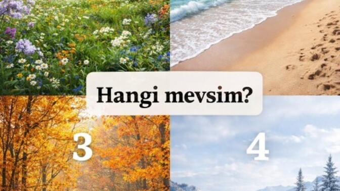 Sizin tercihiniz hangi mevsim?
