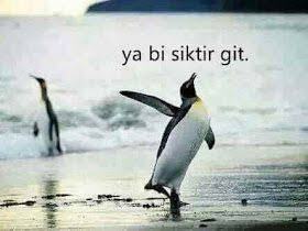 Karşıdaki insan siizi anlamak istemiyor sa nasıl cevap verirsiniz ona?