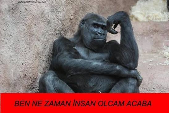Sevgilim Benden Kısa Diye Üzülüyor?