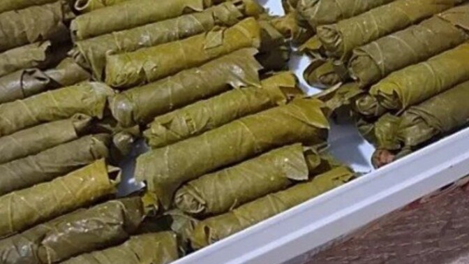 Yaprak sarmam nasıl görünüyor?