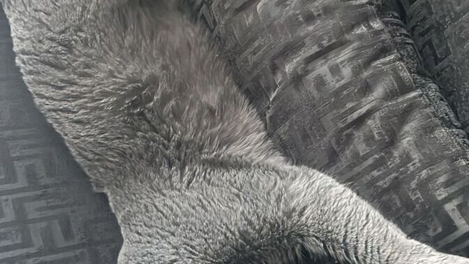 Çok üzüldüğünüzde ya da sinirlendiğinizde ağlar mısınız yoksa içine atanlardan mısınız?